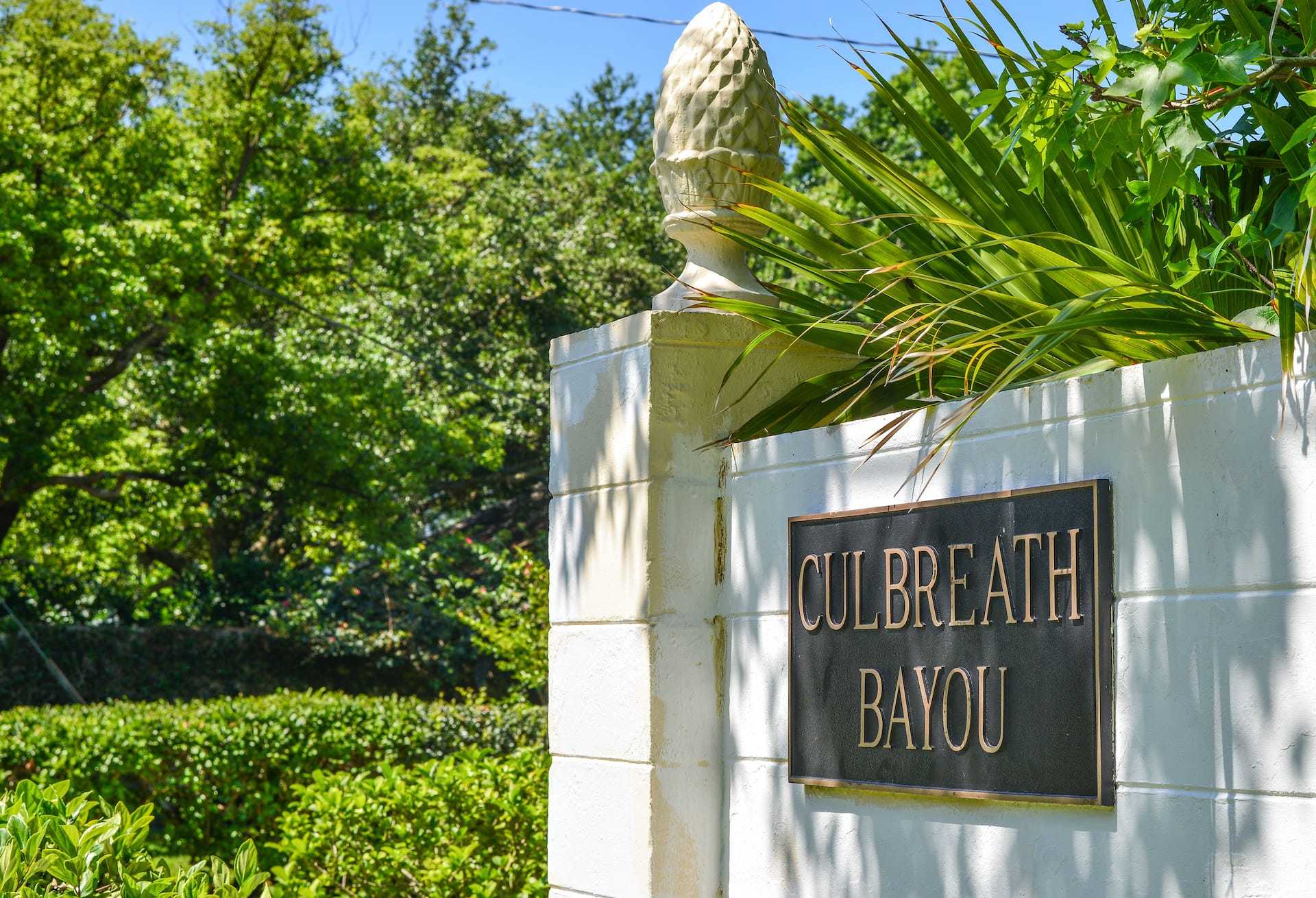 Downtown Tampa Activity